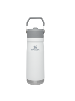 Termo Stanley Classic Iceflow Flip Straw Water Bottle 22oz (650ml)