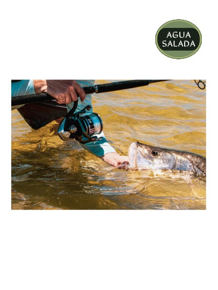 Carrete Daiwa BG MQ Spinning 6+1 Balineras
