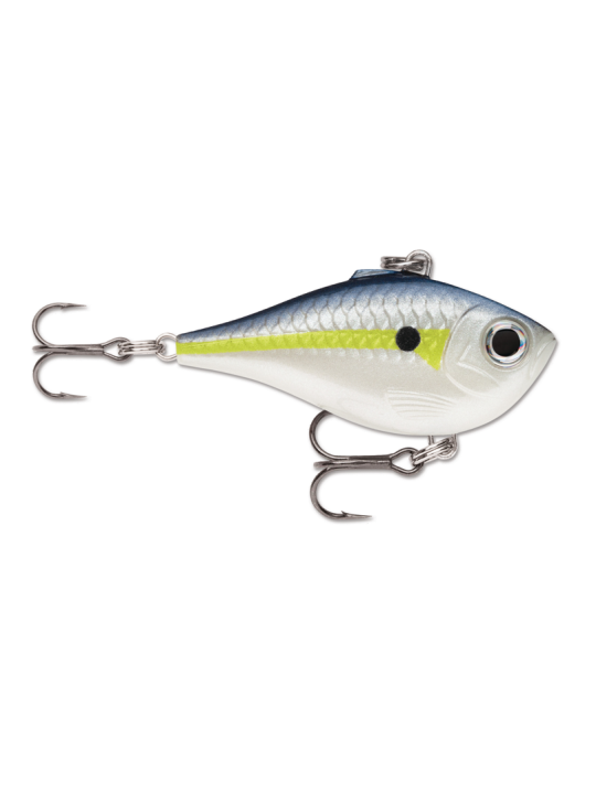 Helsinki Shad