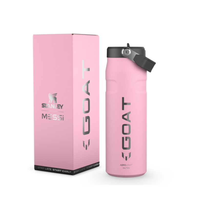 Stanley IceFlow Flip Straw 2.0 Water Bottle 16 Oz - Insulated Stainless Steel, Leakproof, Built-in Straw
