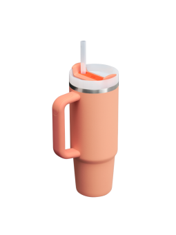 Termo Stanley Quencher