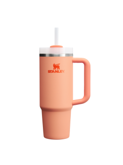 Termo Stanley Quencher