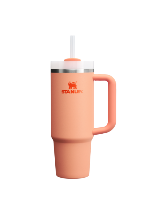 Termo Stanley Quencher