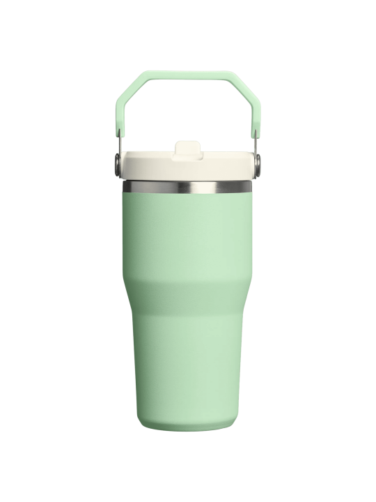 Termo Stanley IceFlow Flip Straw Tumbler 2.0