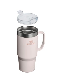 Stanley Everyday Suburban Mug