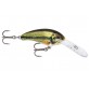 Live Largemouth Bass